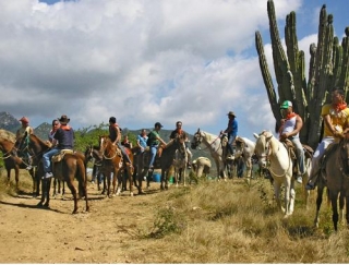 Visita guiada en caballos